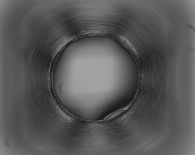 X0000091920890200709191337