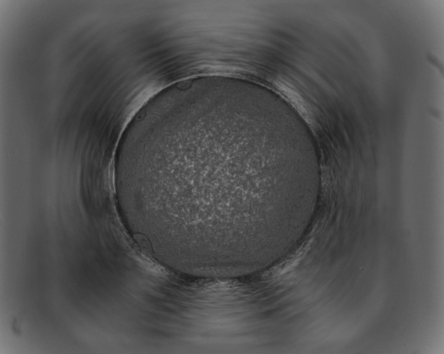 X0000091920891200709191337