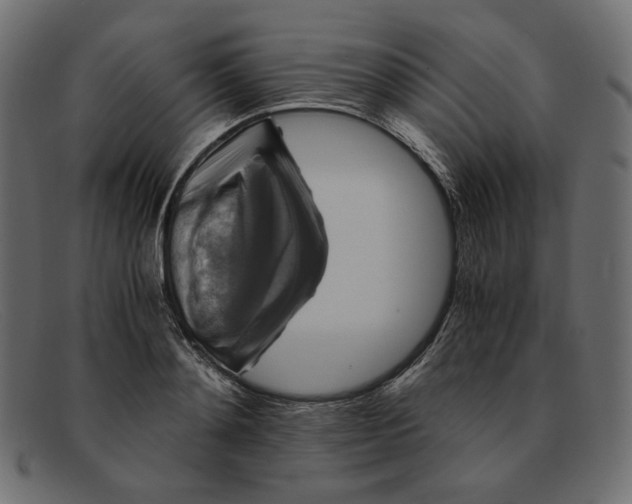 X0000091920892200709191337