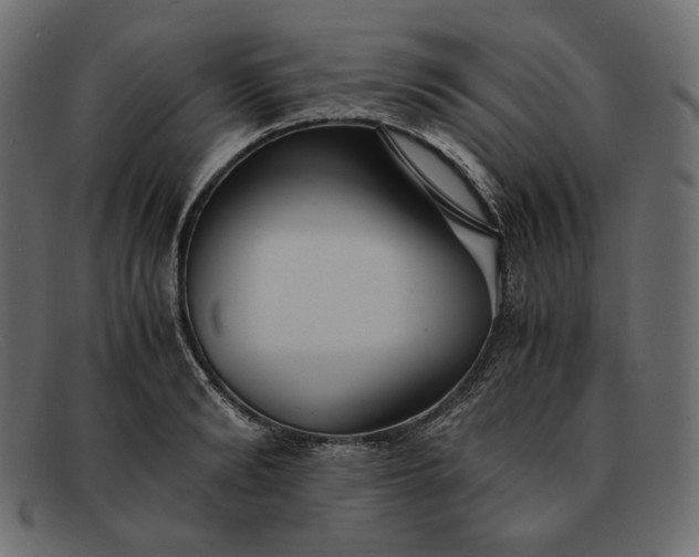 X0000091920894200709191337