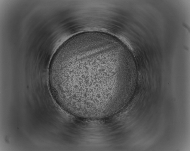 X0000091920895200709191337