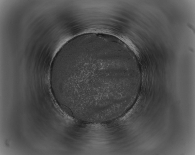 X0000091920896200709191337