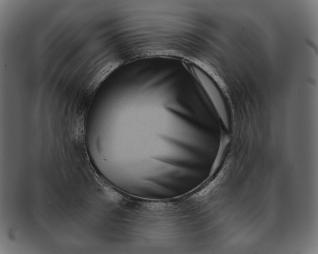 X0000091920897200709191337