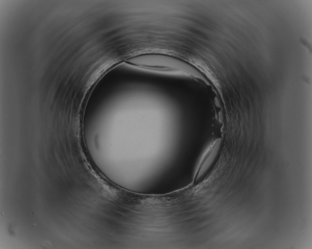 X0000091920898200709191337