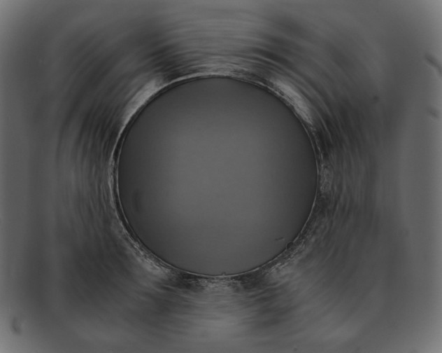 X0000091920899200709191337