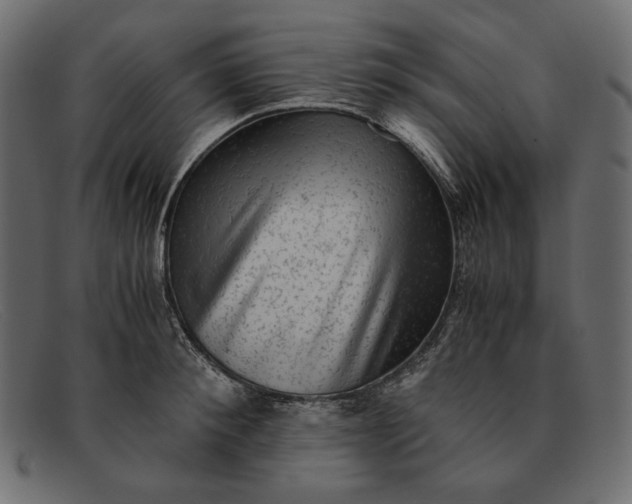 X0000091920900200709191337