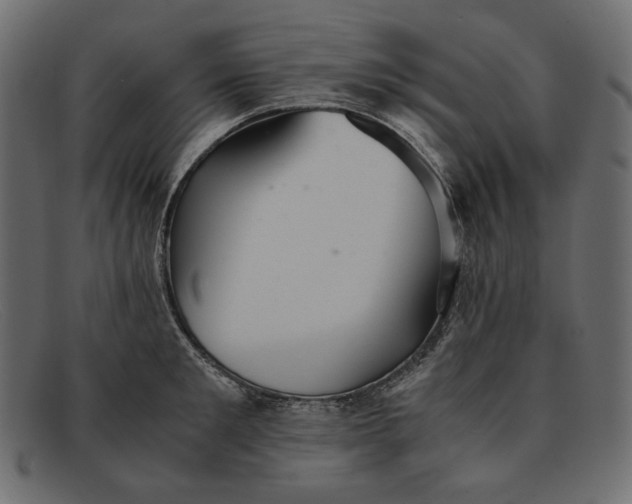 X0000091920901200709191337