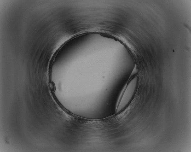 X0000091920902200709191337