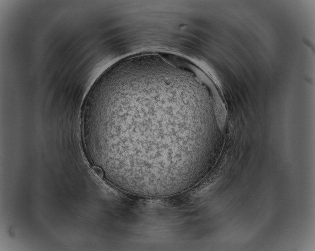 X0000091920903200709191337