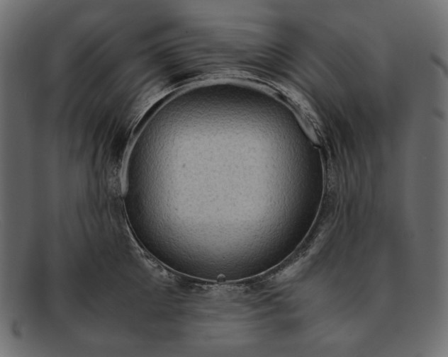 X0000091920905200709191337