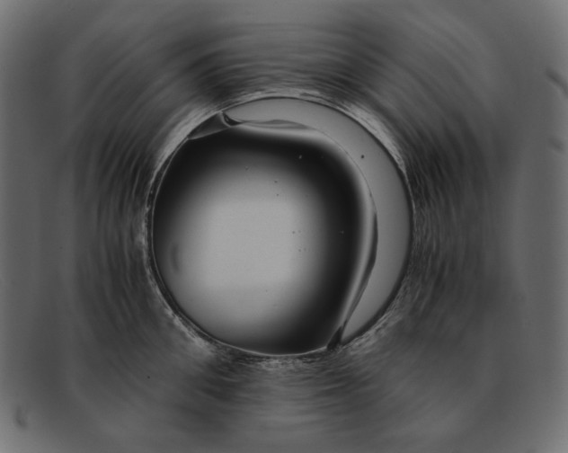 X0000091920906200709191337