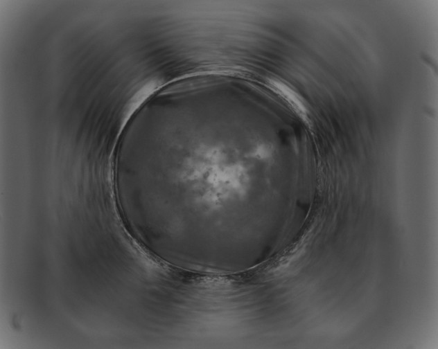 X0000091920907200709191337
