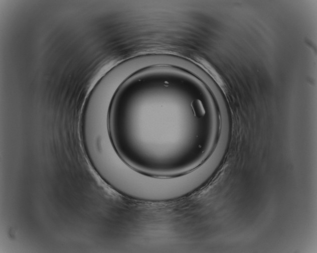 X0000091920909200709191337