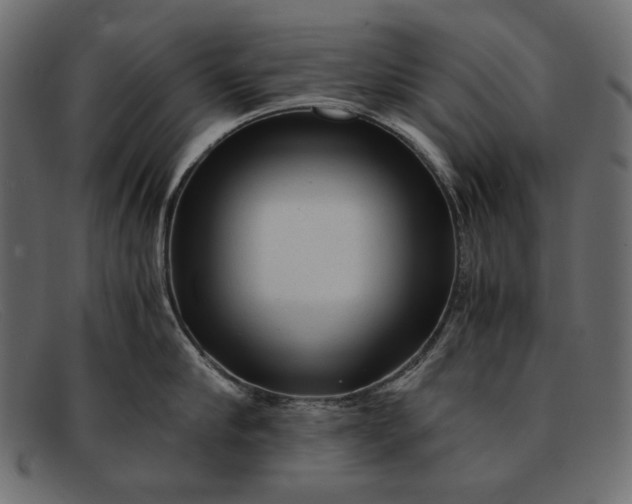X0000091920910200709191337