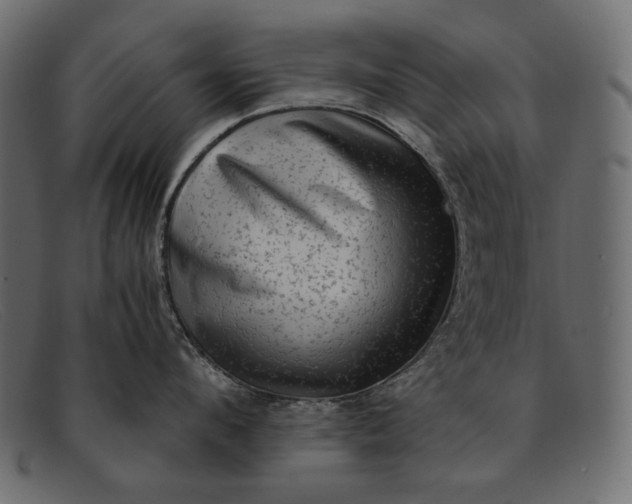 X0000091920912200709191337