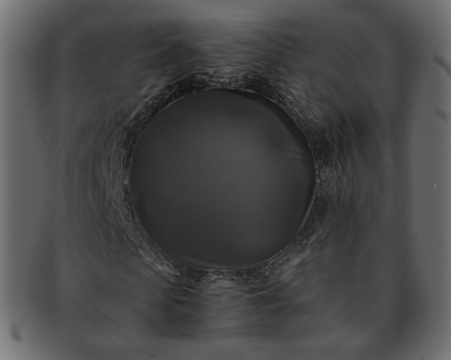 X0000091920913200709191336