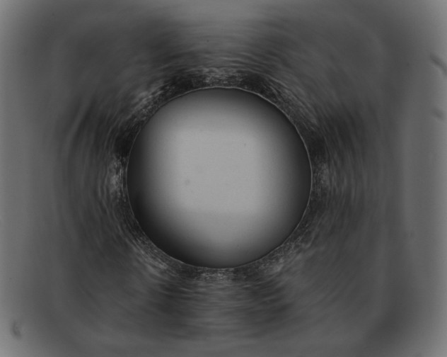 X0000091920914200709191336