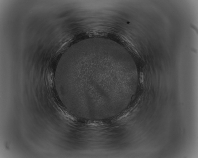 X0000091920915200709191336