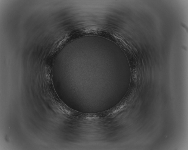 X0000091920916200709191336