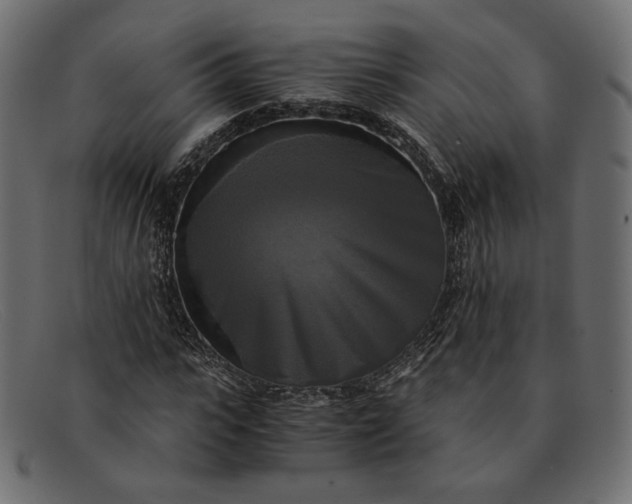 X0000091920919200709191336