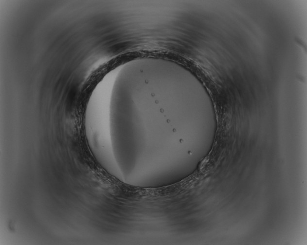 X0000091920920200709191336