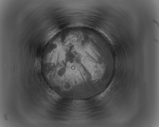 X0000091920921200709191336