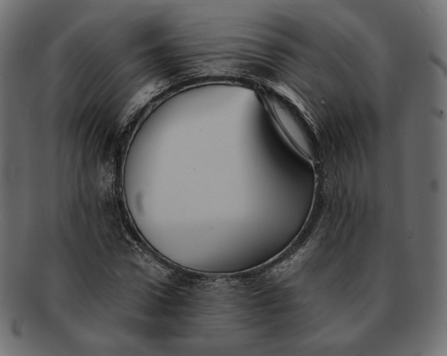 X0000091920922200709191336