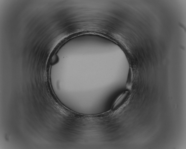 X0000091920924200709191336