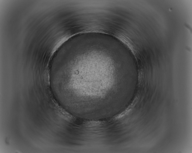 X0000091920925200709191336