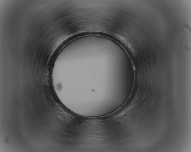 X0000091920926200709191336