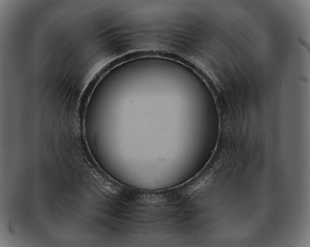 X0000091920927200709191336