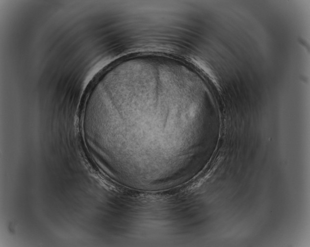 X0000091920928200709191336