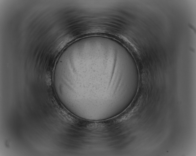 X0000091920929200709191336