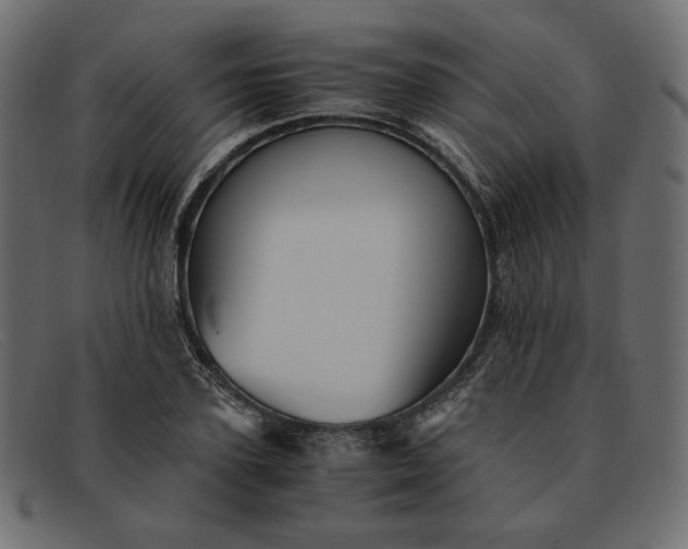 X0000091920931200709191336