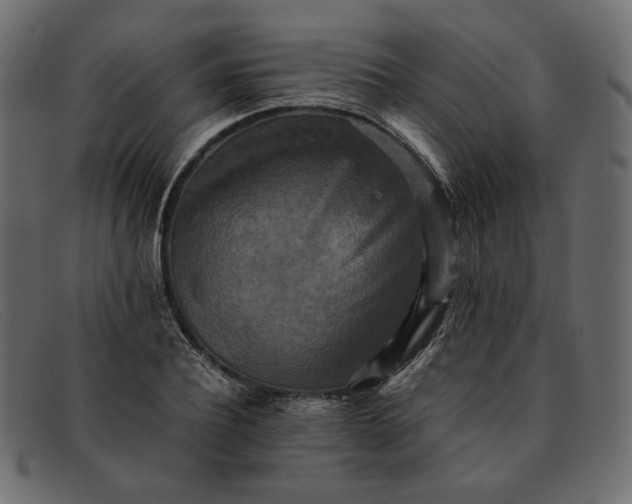 X0000091920932200709191336