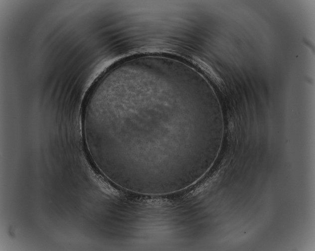 X0000091920934200709191336