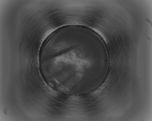 X0000091920935200709191336