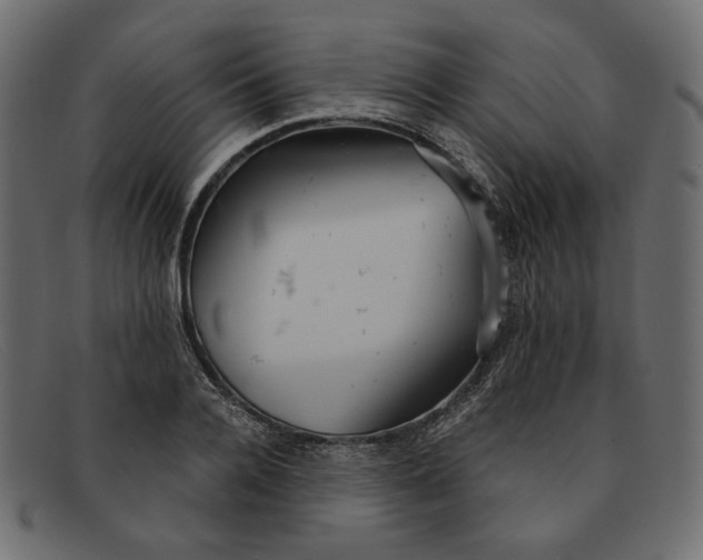 X0000091920936200709191336