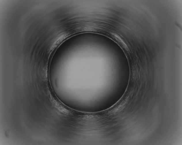 X0000091920938200709191336