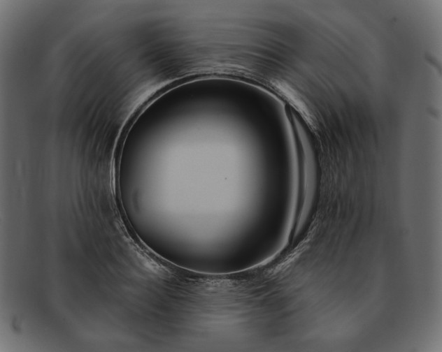 X0000091920940200709191336