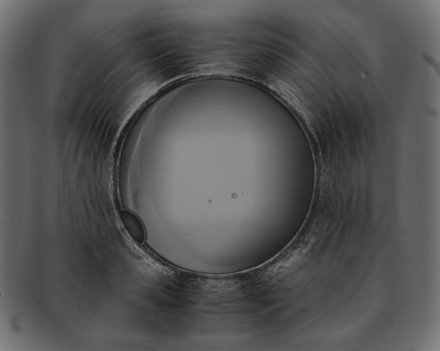 X0000091920941200709191336