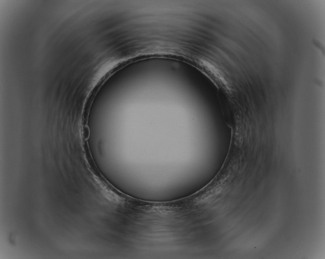 X0000091920942200709191336