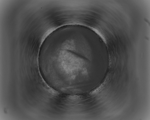 X0000091920943200709191336