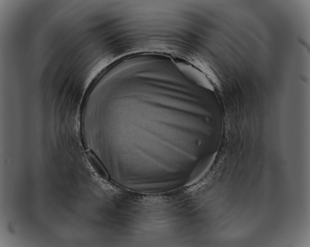 X0000091920944200709191336