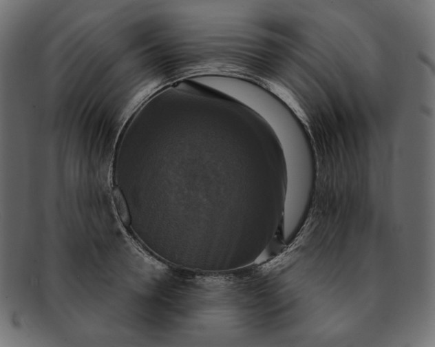 X0000091920946200709191336