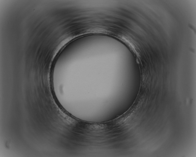 X0000091920947200709191336