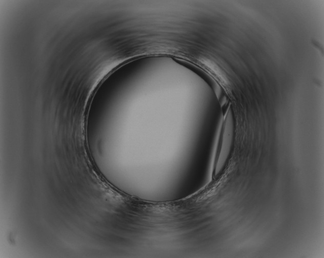 X0000091920948200709191337