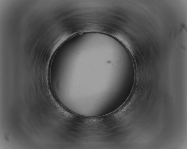 X0000091920949200709191337