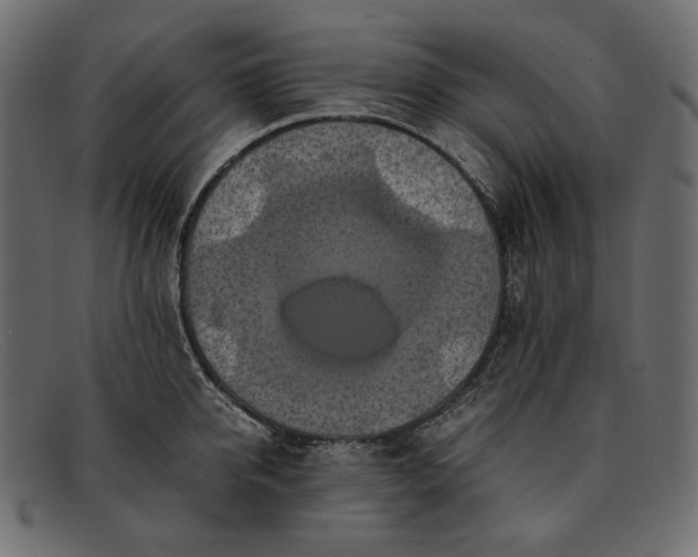 X0000091920950200709191337