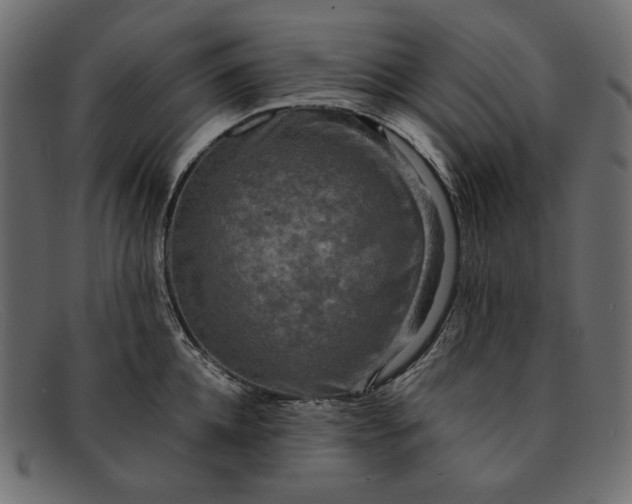 X0000091920952200709191337